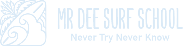 mr dee surf lessona